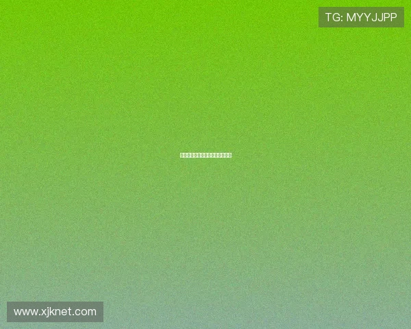 直升机在低空复杂地形的导航系统